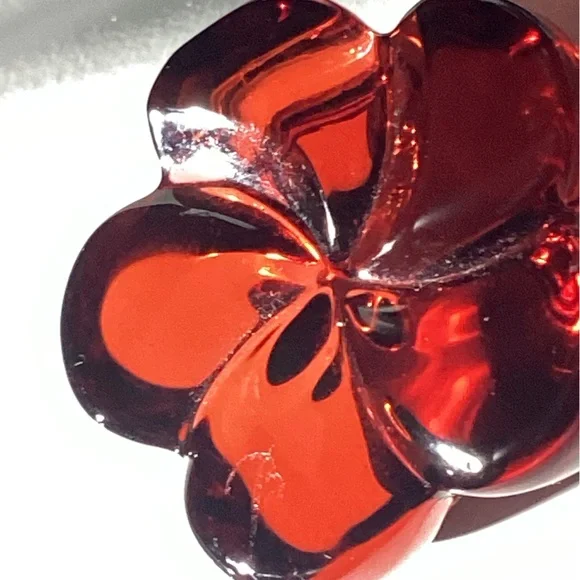 Bac’ Beauty!! - Picture 3 of 4